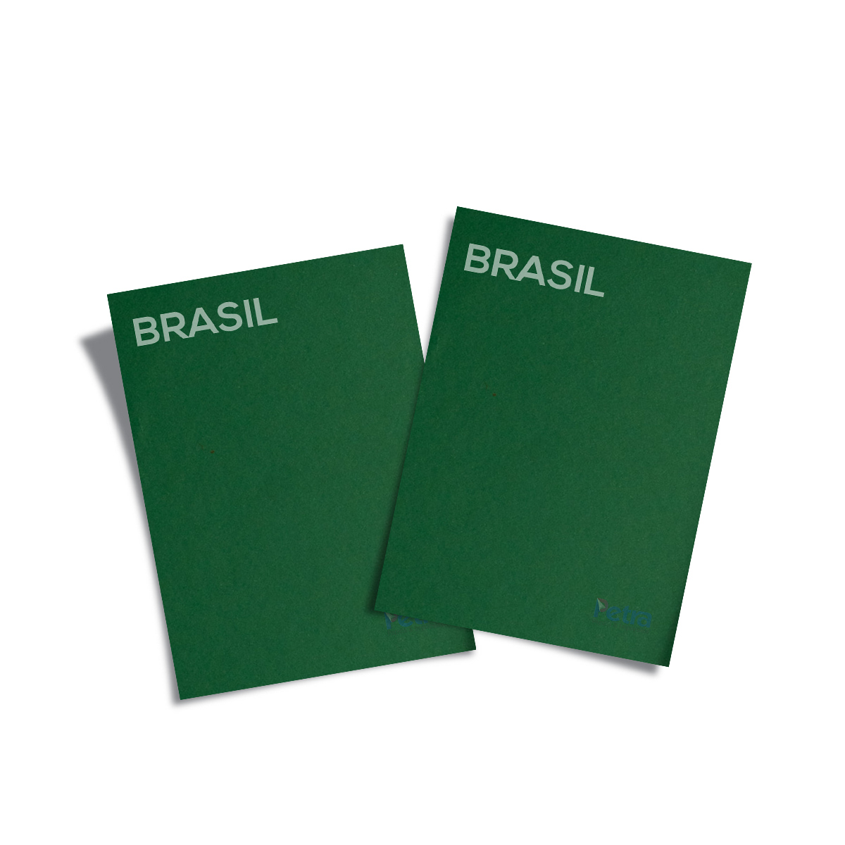 imagem-1755783224-9621.jpg